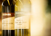 Winery Hagemann 2 of 5