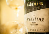Winery Hagemann 3 of 5