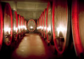 Winery Manz 3 of 3