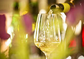 Weingut Strauß 5 of 5